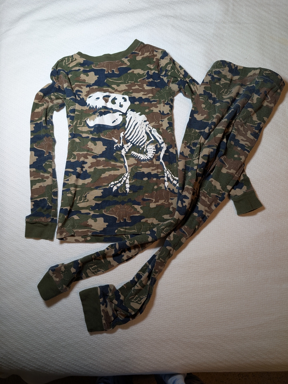 Boys' Camo Dinosaur Long-Sleeve Pajama Set - Green